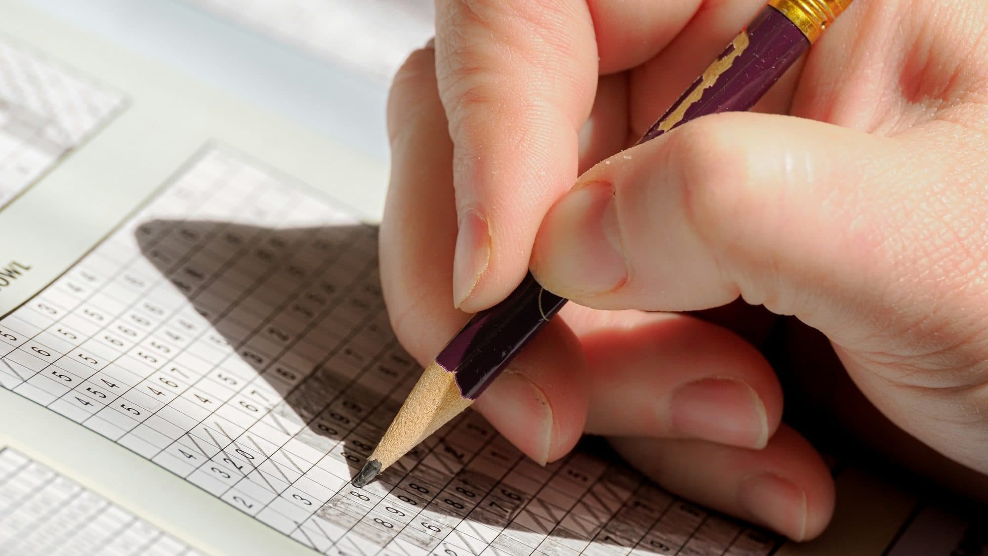 A pencil filling in answers on a printed questionnaire